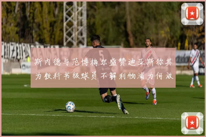 斯内德与范博梅尔盛赞迪亚斯称其为教科书级球员不解利物浦为何放弃他