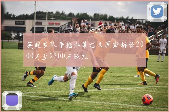 英超多队争抢加蒂尤文图斯标价2000万至2500万欧元