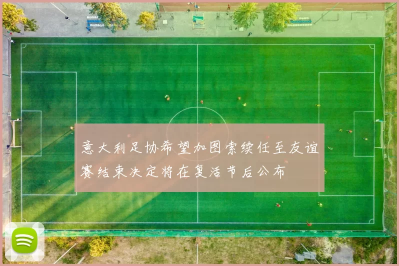意大利足协希望加图索续任至友谊赛结束决定将在复活节后公布