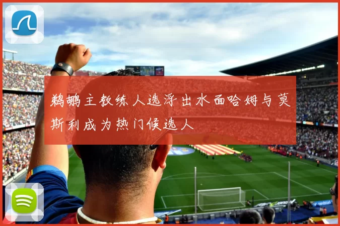 鹈鹕主教练人选浮出水面哈姆与莫斯利成为热门候选人