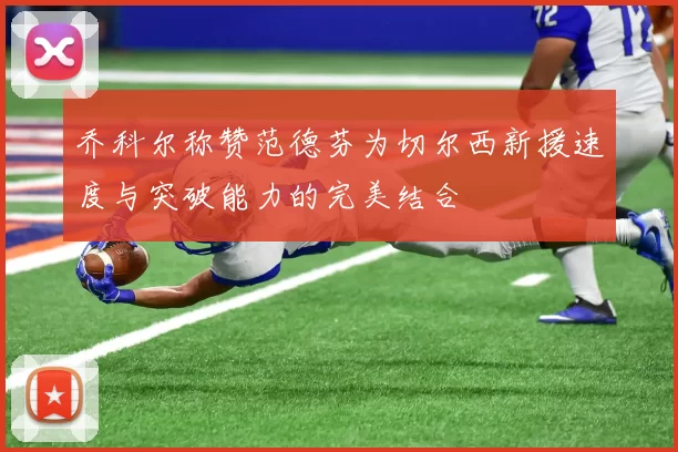 乔科尔称赞范德芬为切尔西新援速度与突破能力的完美结合